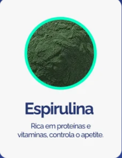 Captura de tela 2025-11-06 082611