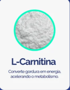 Captura de tela 2025-11-06 082629